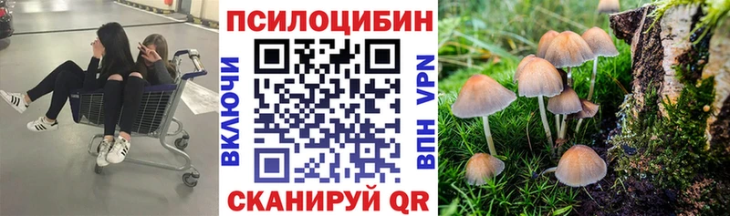цена наркотик  Ишимбай  Галлюциногенные грибы прущие грибы 